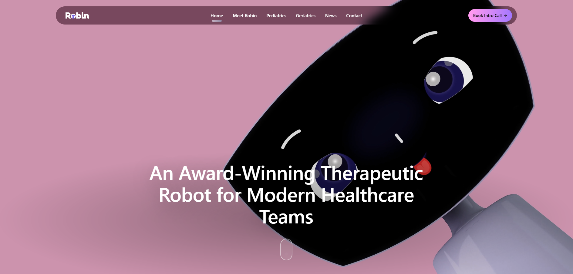 Screenshot of Robin Therapeutic Healthcare Robot
